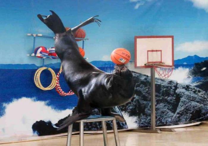 厦门海底世界 厦门海底世界