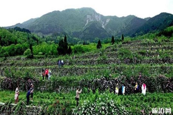 彭州宝山旅游区 彭州宝山旅游区