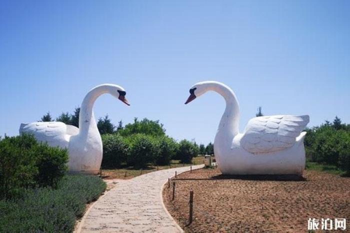 南山公园 南山公园