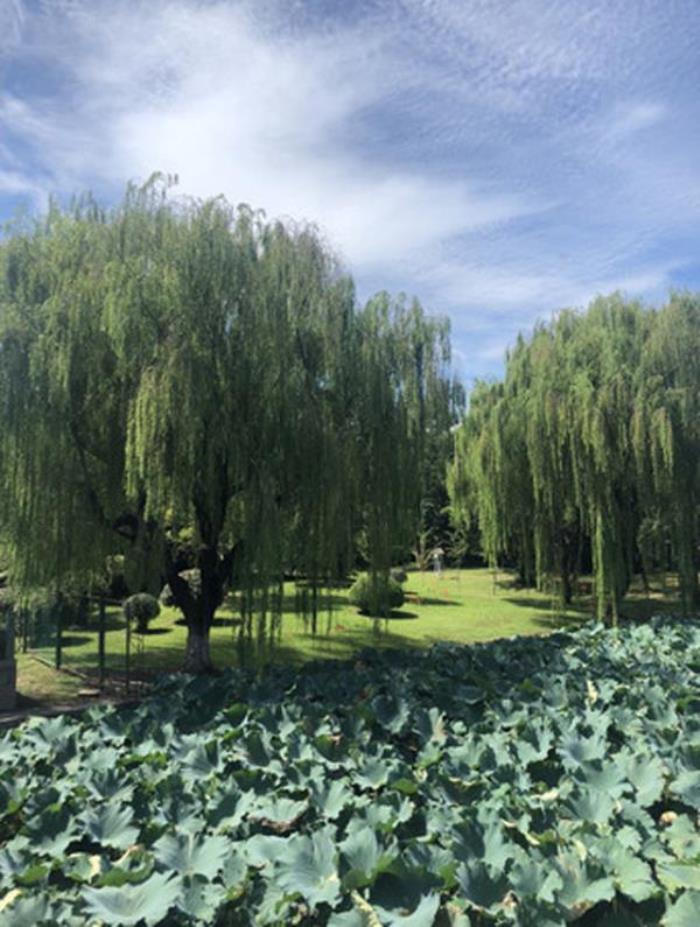 上海大观园 上海大观园