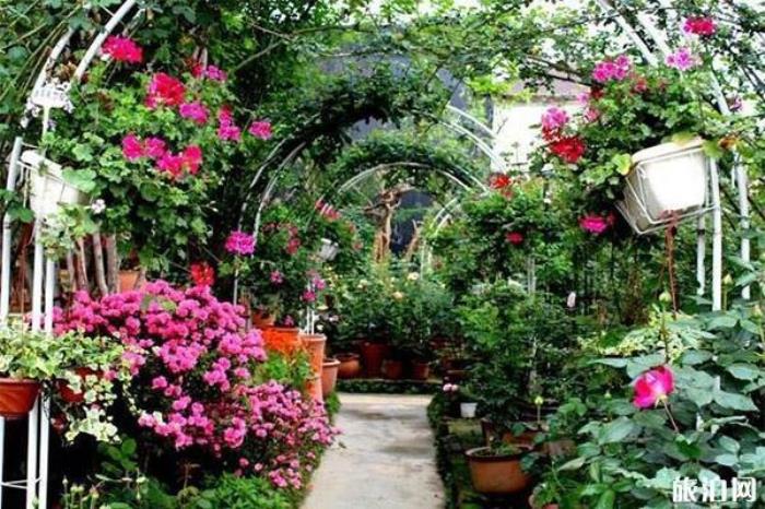 三圣花乡 三圣花乡