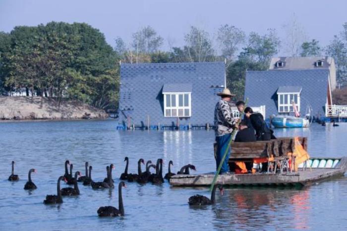 上海-大千天鹅湖庄园 上海-大千天鹅湖庄园