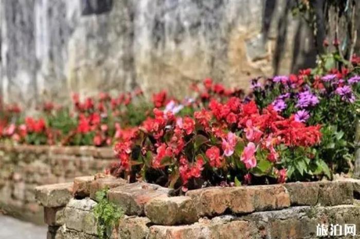 黟县打鼓岭景区 黟县打鼓岭景区