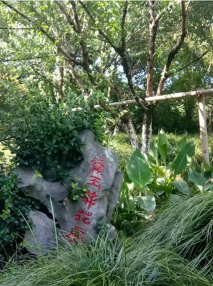 上海大观园 上海大观园