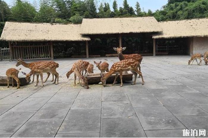 金沙遗址博物馆 金沙遗址博物馆