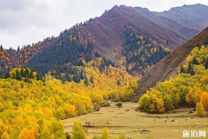 仙米国家森林公园 仙米国家森林公园