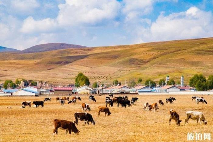 仙米国家森林公园 仙米国家森林公园