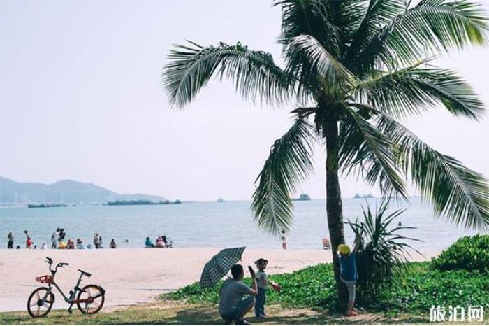 椰梦长廊 椰梦长廊