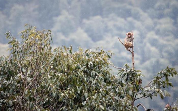 太姥山风景区 太姥山风景区