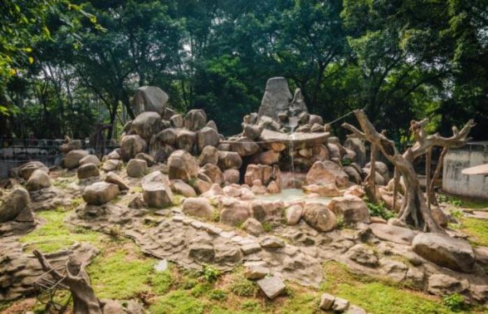 广州动物园 广州动物园