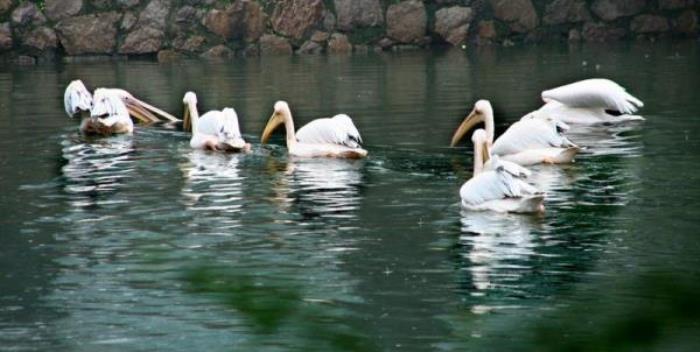 广州动物园 广州动物园