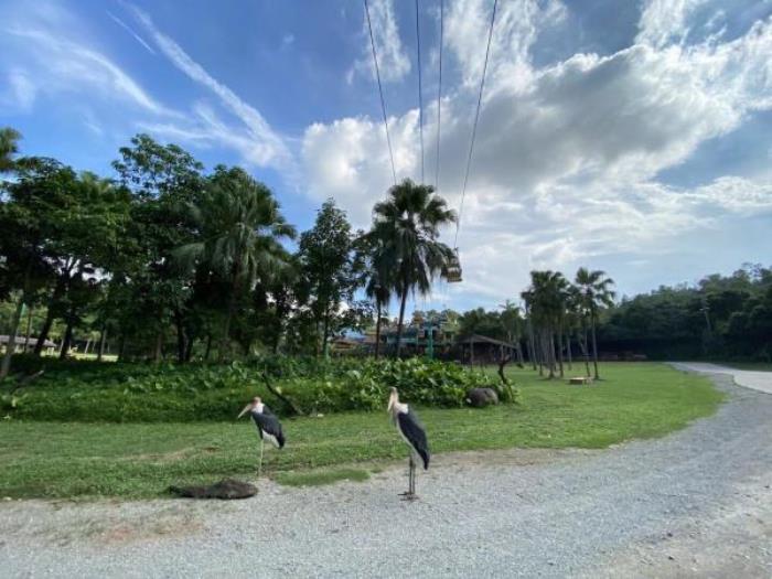 广州动物园 广州动物园