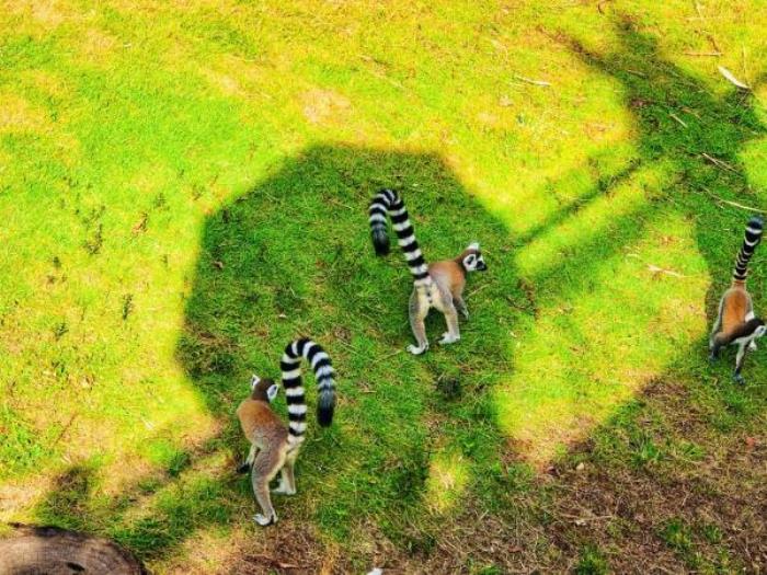 广州动物园 广州动物园