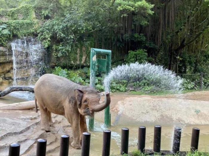 广州动物园 广州动物园