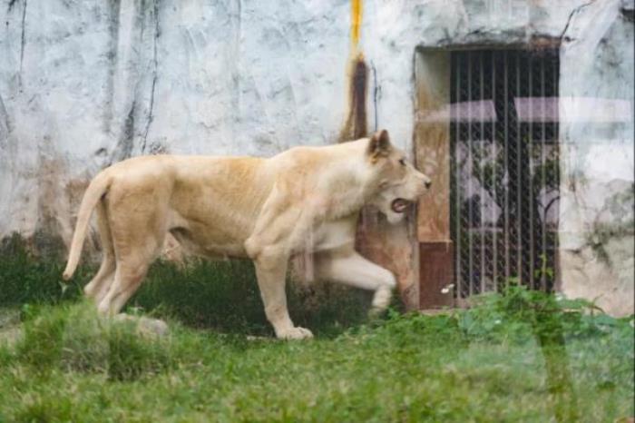 广州动物园 广州动物园