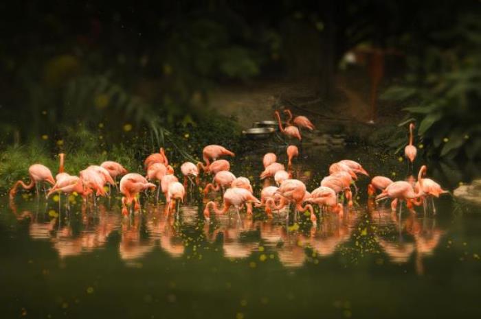 广州动物园 广州动物园