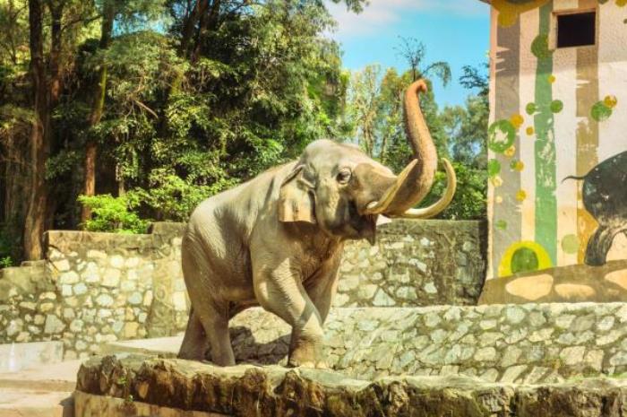 广州动物园 广州动物园