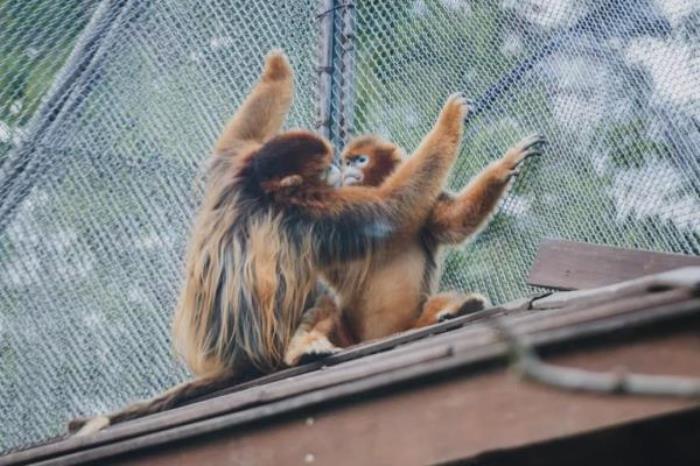广州动物园 广州动物园