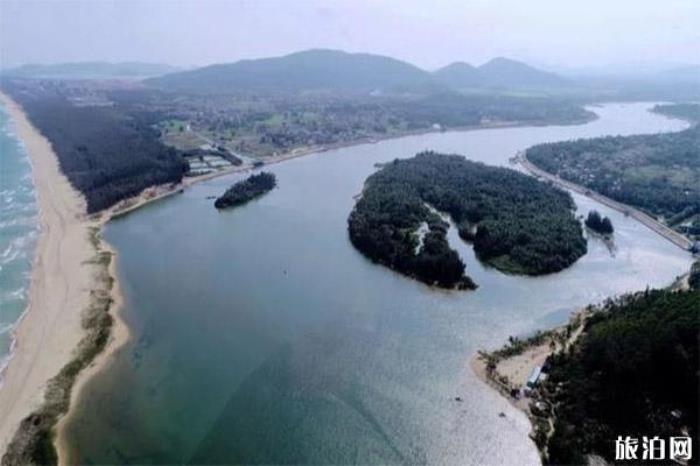 吊罗山热带森林 吊罗山热带森林