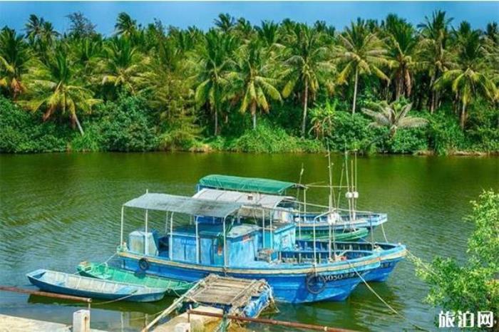 吊罗山热带森林 吊罗山热带森林