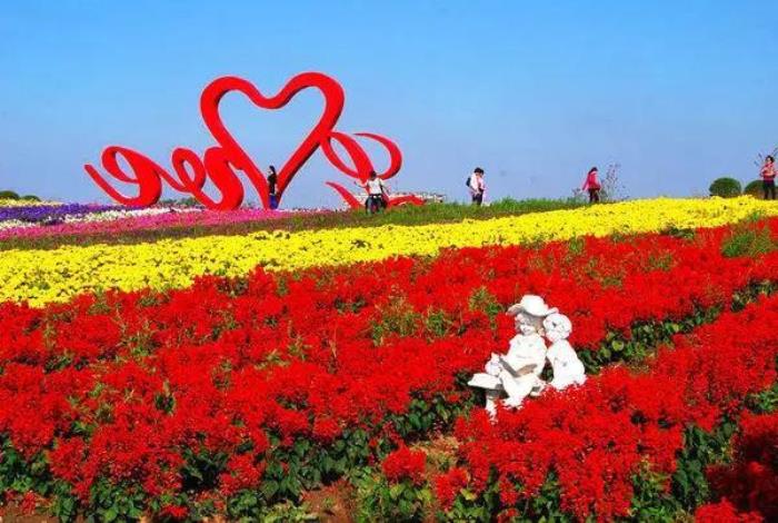 上海周浦花海生态园