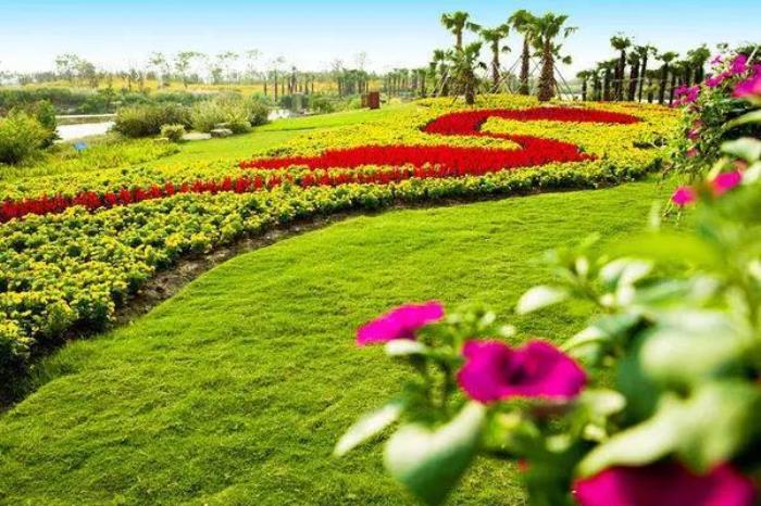 上海周浦花海生态园 上海周浦花海生态园