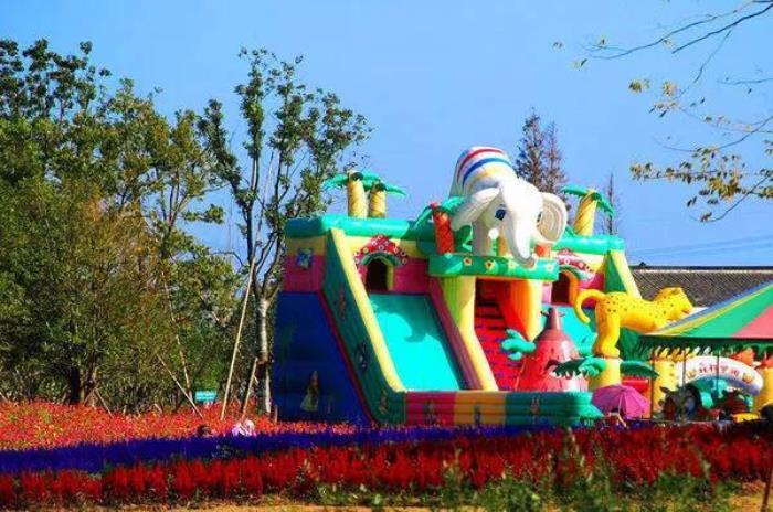 上海周浦花海生态园 上海周浦花海生态园