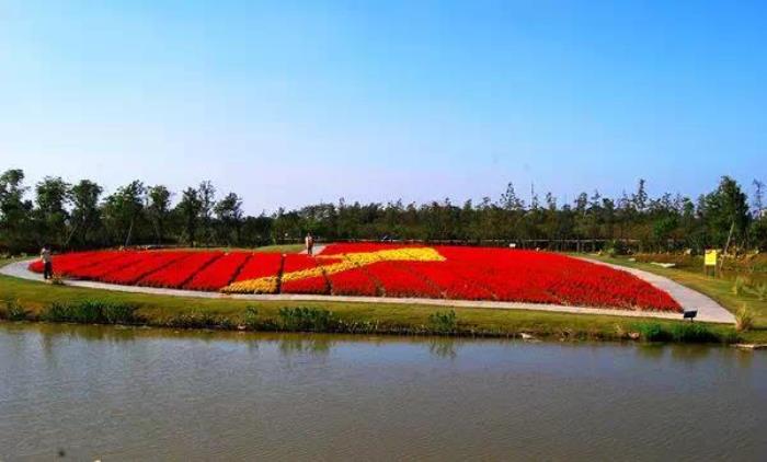 上海周浦花海生态园 上海周浦花海生态园