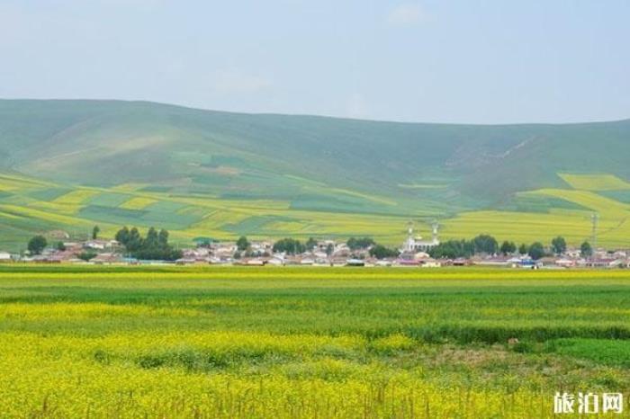 青石嘴镇 青石嘴镇