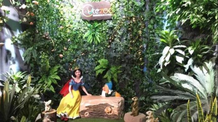 杭州-酷嗒动物文化乐园 杭州-酷嗒动物文化乐园