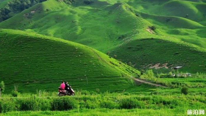 那拉提景区 那拉提景区