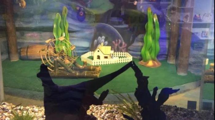 杭州-酷嗒动物文化乐园 杭州-酷嗒动物文化乐园