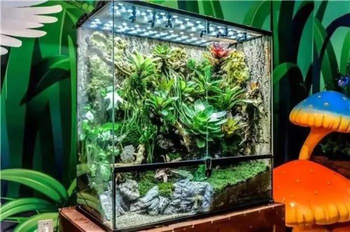 杭州-酷嗒动物文化乐园 杭州-酷嗒动物文化乐园