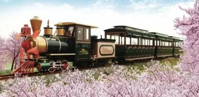 正定古城樱花小镇 正定古城樱花小镇