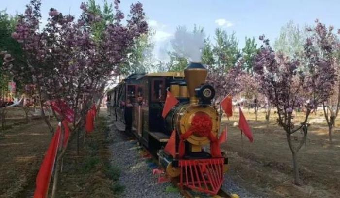 正定古城樱花小镇 正定古城樱花小镇