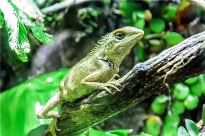 杭州-酷嗒动物文化乐园 杭州-酷嗒动物文化乐园