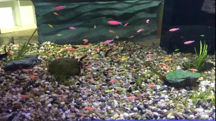 杭州-酷嗒动物文化乐园 杭州-酷嗒动物文化乐园