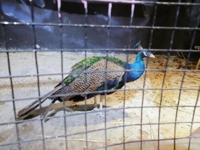 杭州-酷嗒动物文化乐园 杭州-酷嗒动物文化乐园