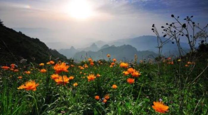 驼梁风景区 驼梁风景区