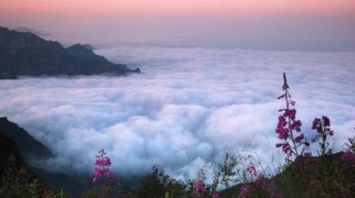 驼梁风景区 驼梁风景区