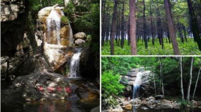 驼梁风景区 驼梁风景区