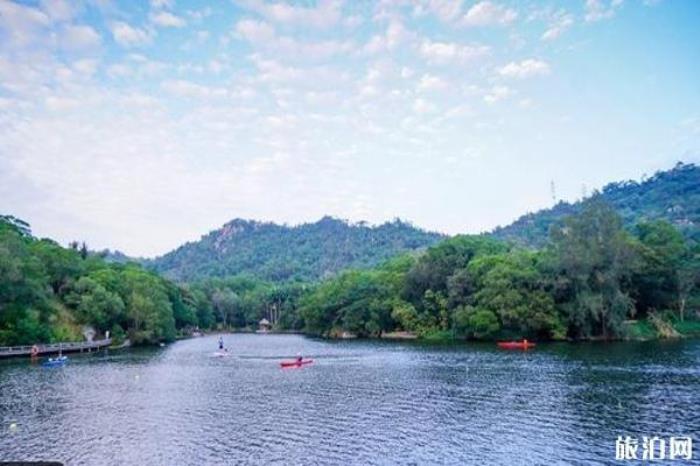 厦门大学景区 厦门大学景区