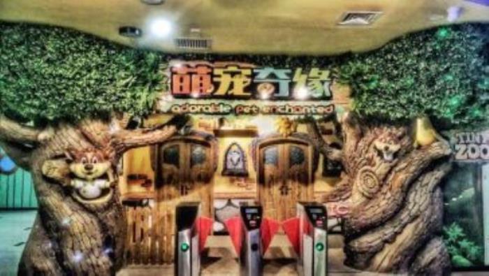 萌宠奇缘 萌宠奇缘