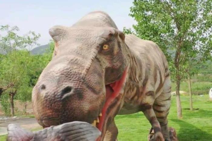 石家庄-西部长青自然儿童乐园 石家庄-西部长青自然儿童乐园