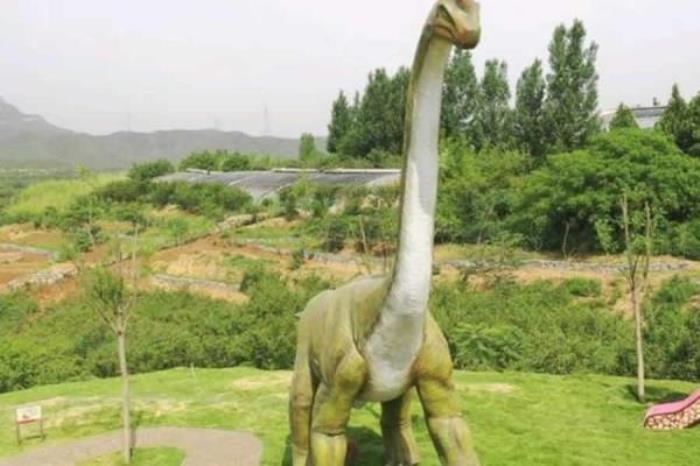 石家庄-西部长青自然儿童乐园 石家庄-西部长青自然儿童乐园