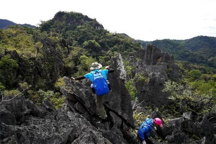 毛感千龙洞 毛感千龙洞