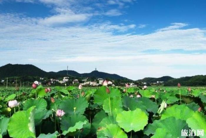 株州大京风景旅游区 株州大京风景旅游区