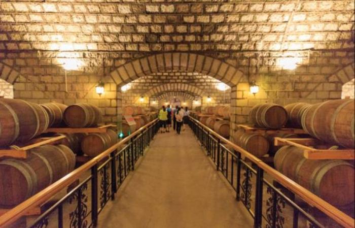 秦皇岛-长城华夏酒庄 秦皇岛-长城华夏酒庄