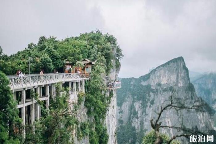 天门山国家森林公园景区 天门山国家森林公园景区