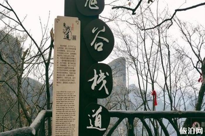 天门山国家森林公园景区 天门山国家森林公园景区